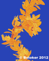Judd Boloker Epidendrum Lei Print